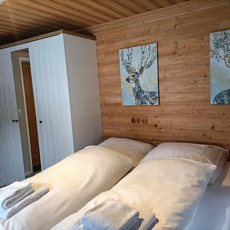 & Haus Edelweiss هولزاغو